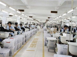 內(nèi)衣廠家為何信賴波而朵 品質(zhì)、創(chuàng)新與服務(wù)的三重保障