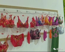 大瀝經(jīng)濟(jì)資訊 鹽步內(nèi)衣企業(yè)細(xì)分產(chǎn)品搶占市場(chǎng)份額